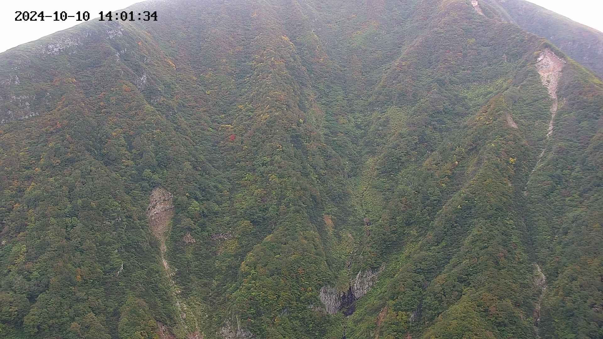 keikoku20241010140136.jpg