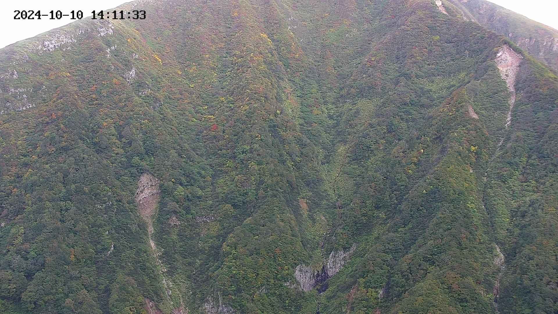 keikoku20241010141135.jpg