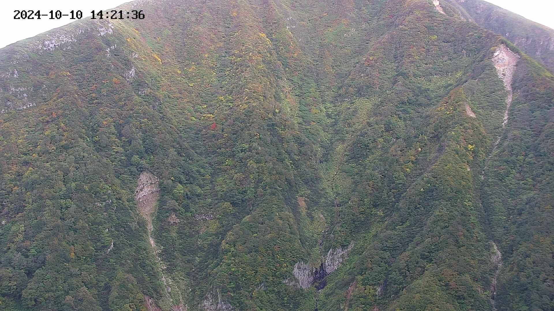 keikoku20241010142138.jpg