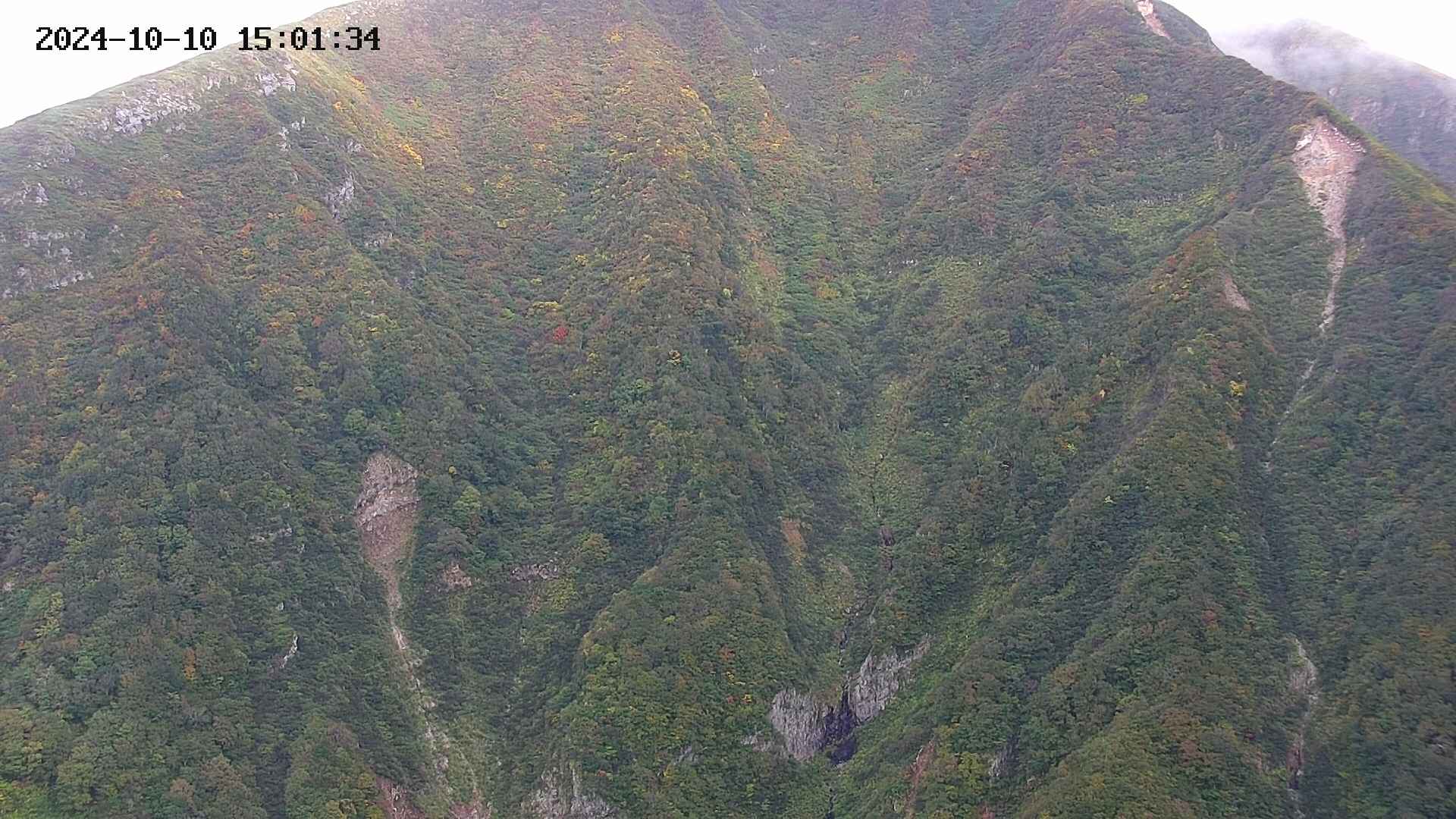 keikoku20241010150135.jpg
