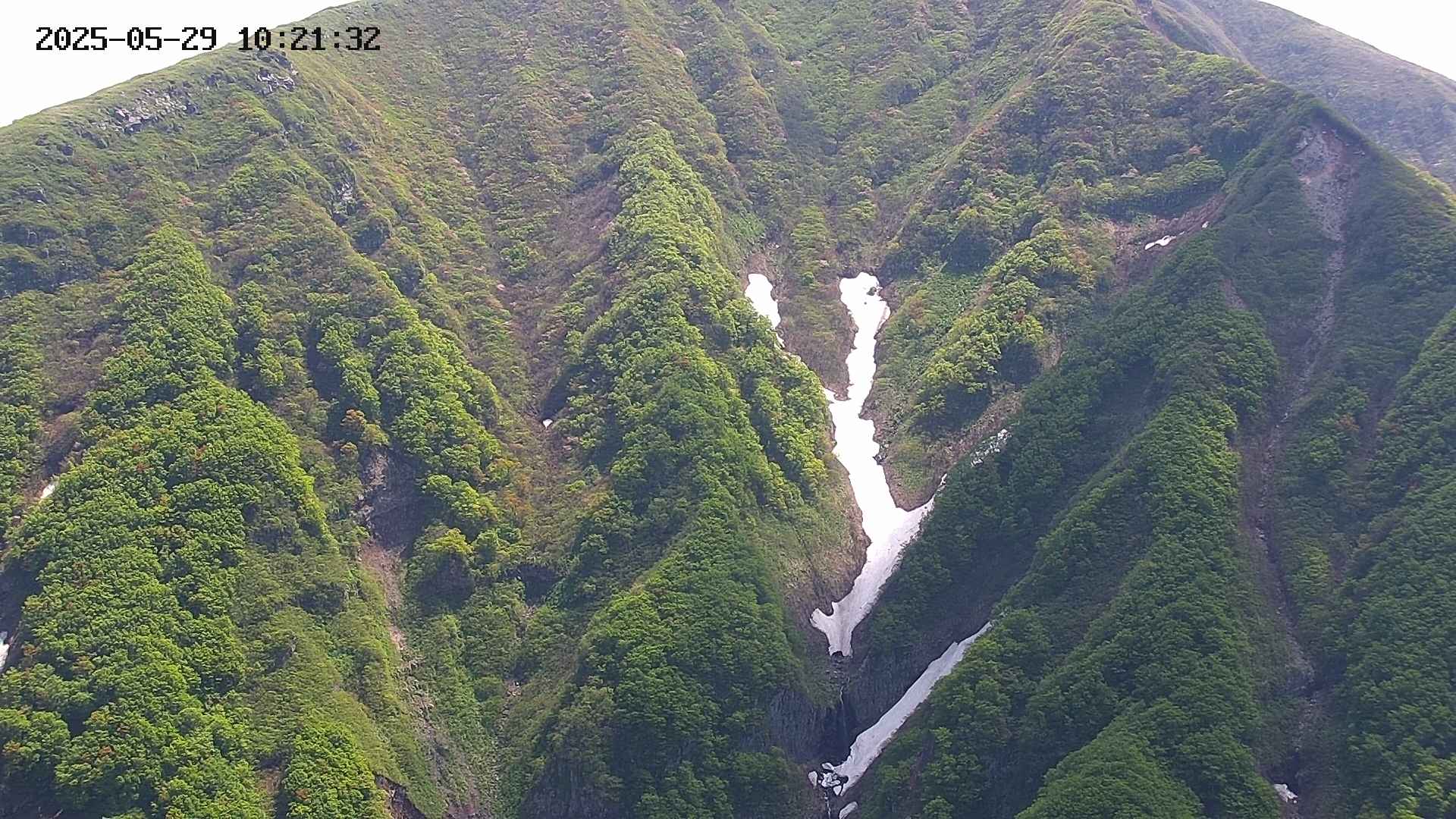keikoku20250529102134.jpg