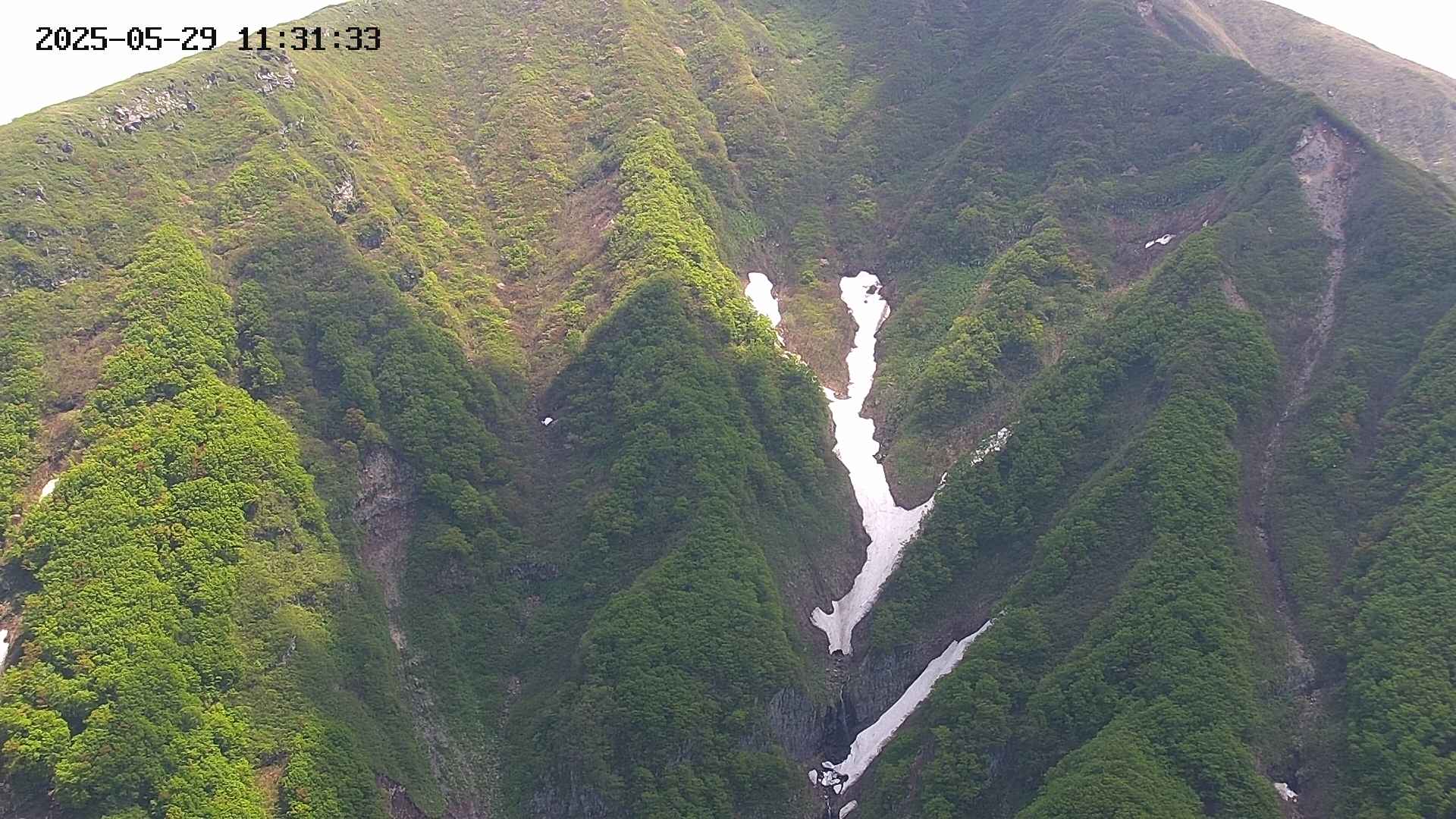 keikoku20250529113135.jpg