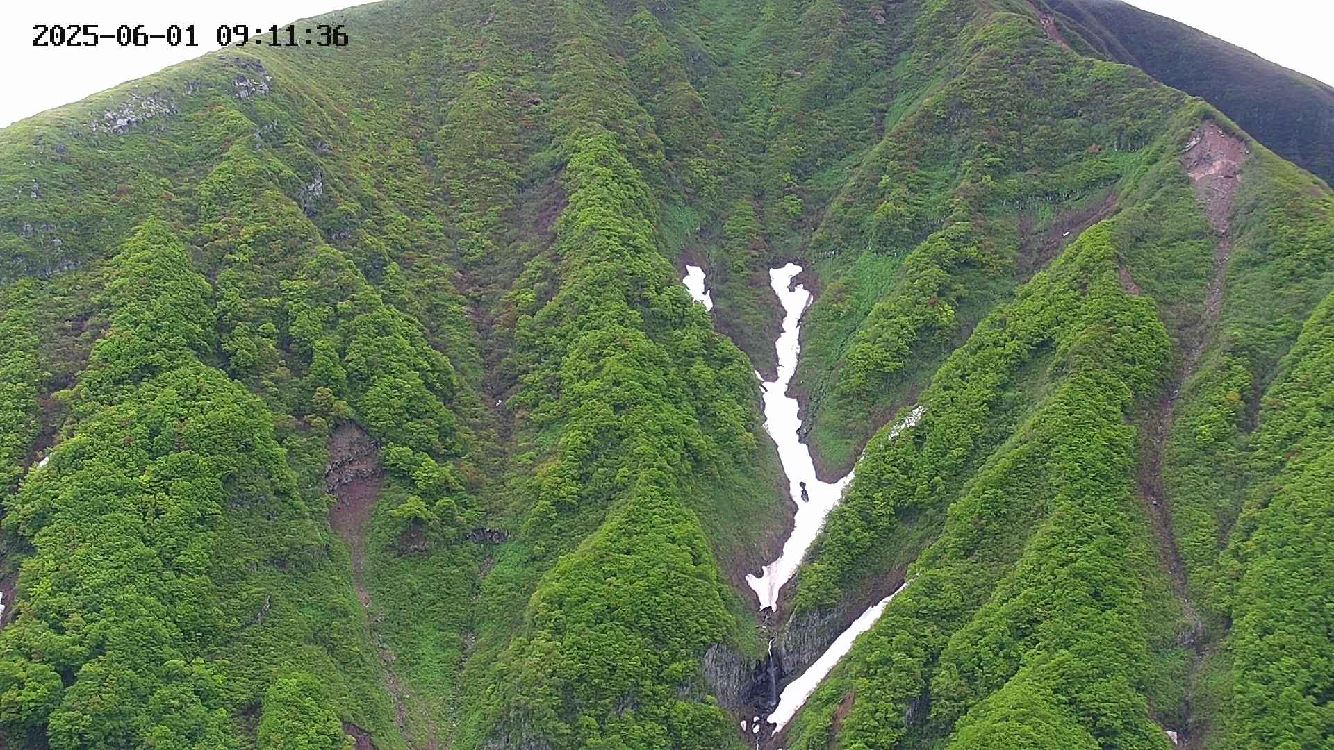 keikoku20250601091138.jpg