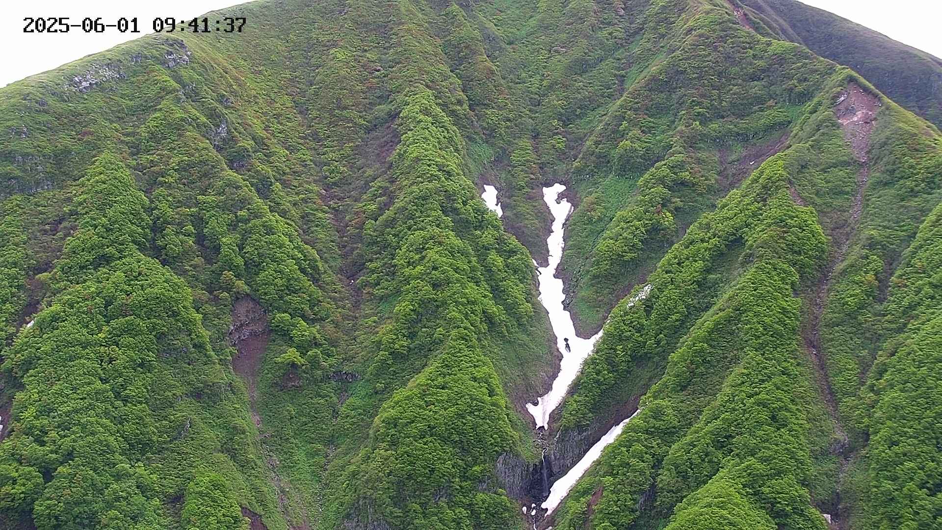 keikoku20250601094139.jpg