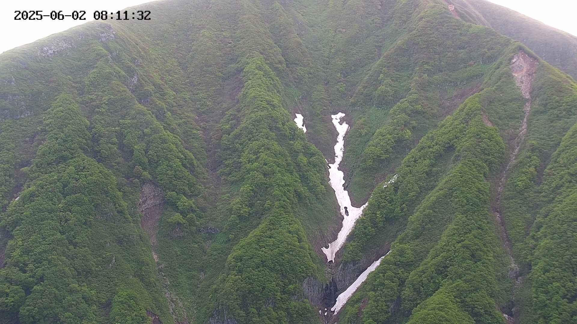 keikoku20250602081132.jpg