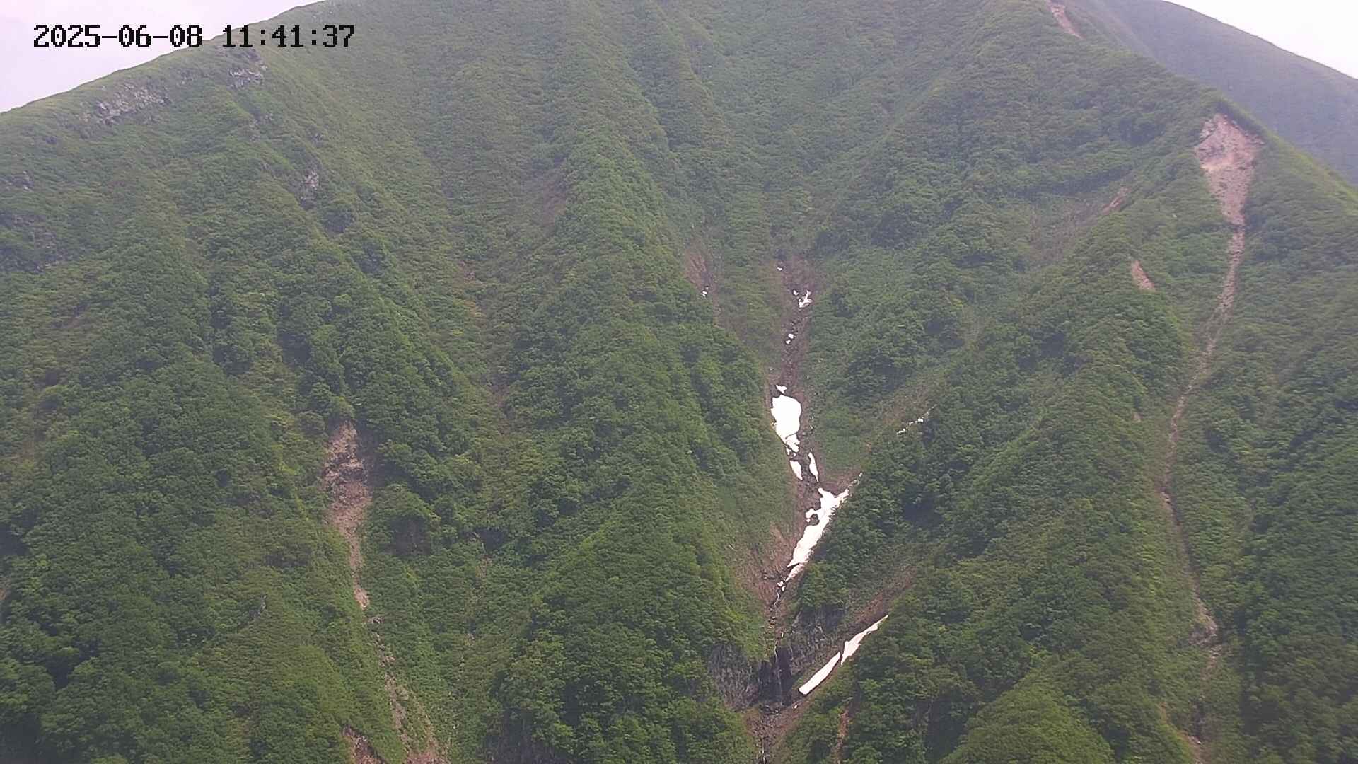 keikoku20250608114139.jpg