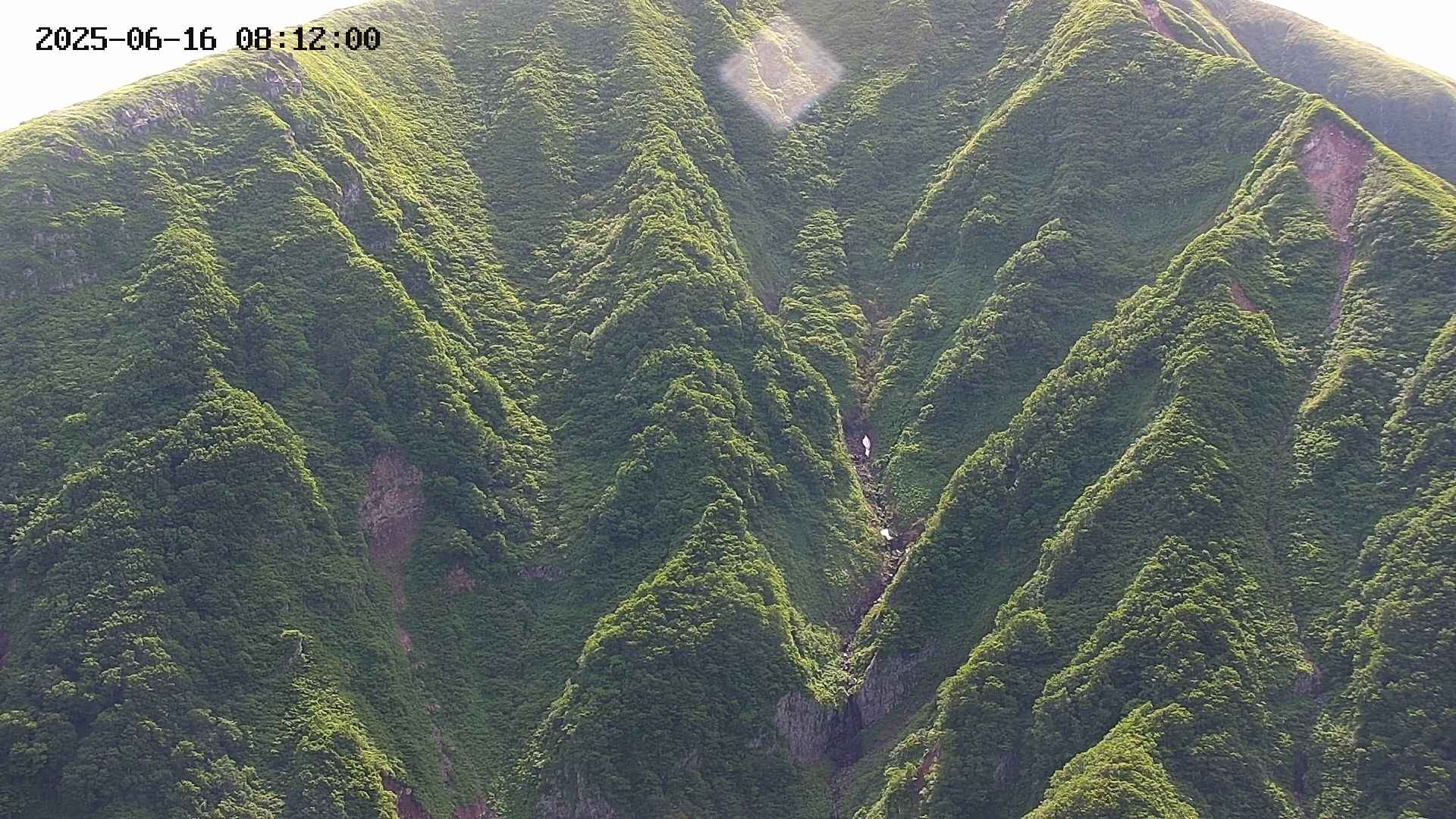 keikoku20250616081200.jpg