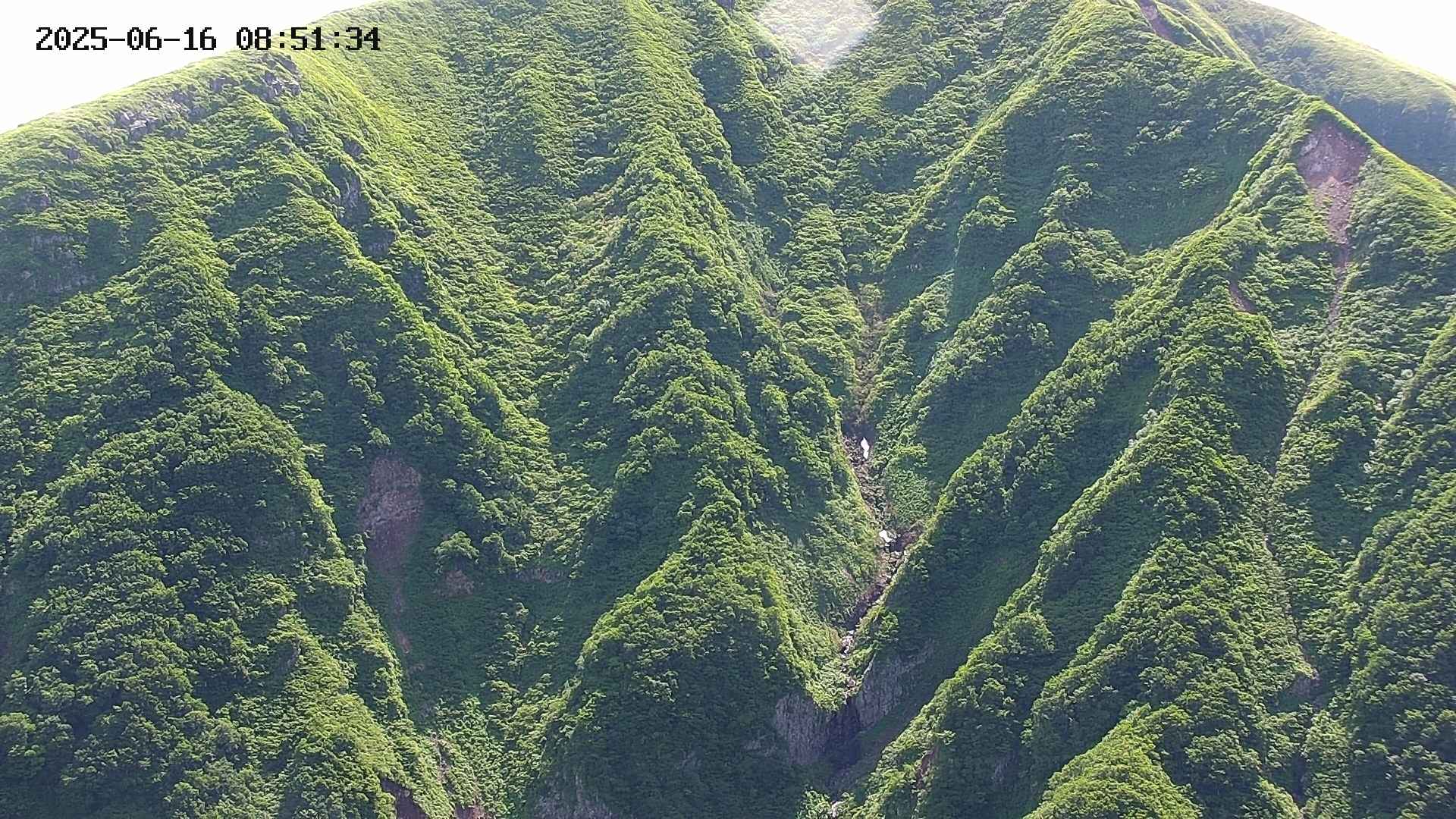 keikoku20250616085135.jpg