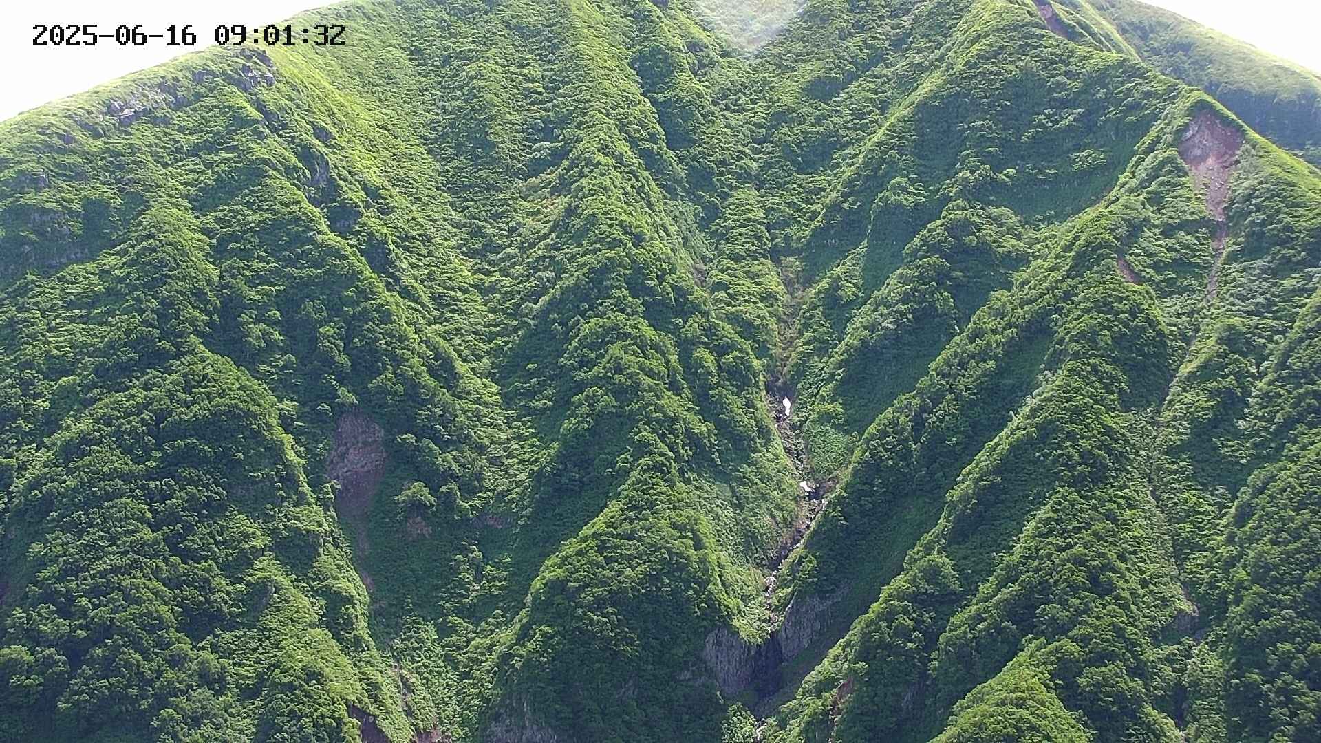 keikoku20250616090133.jpg