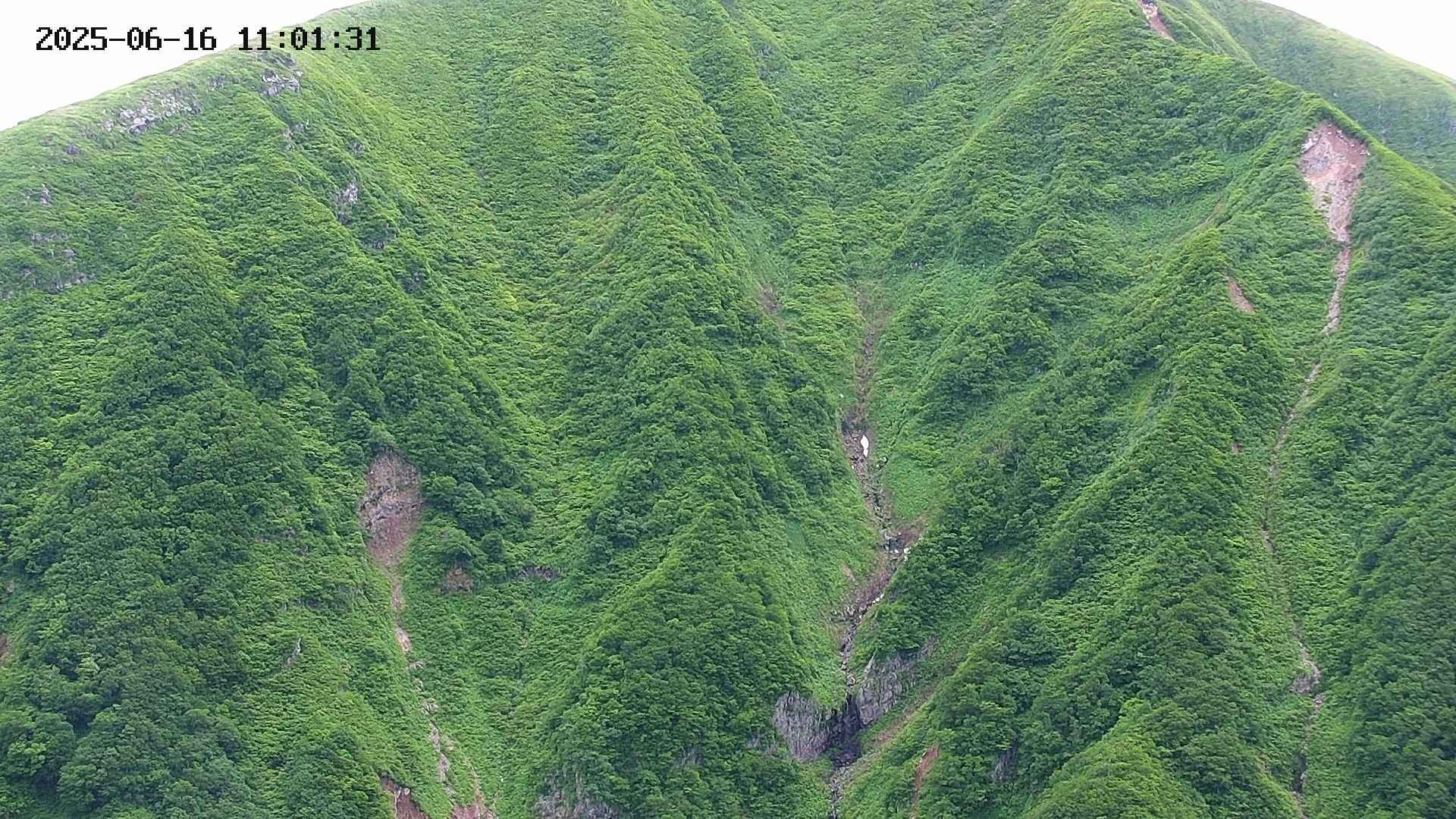 keikoku20250616110132.jpg
