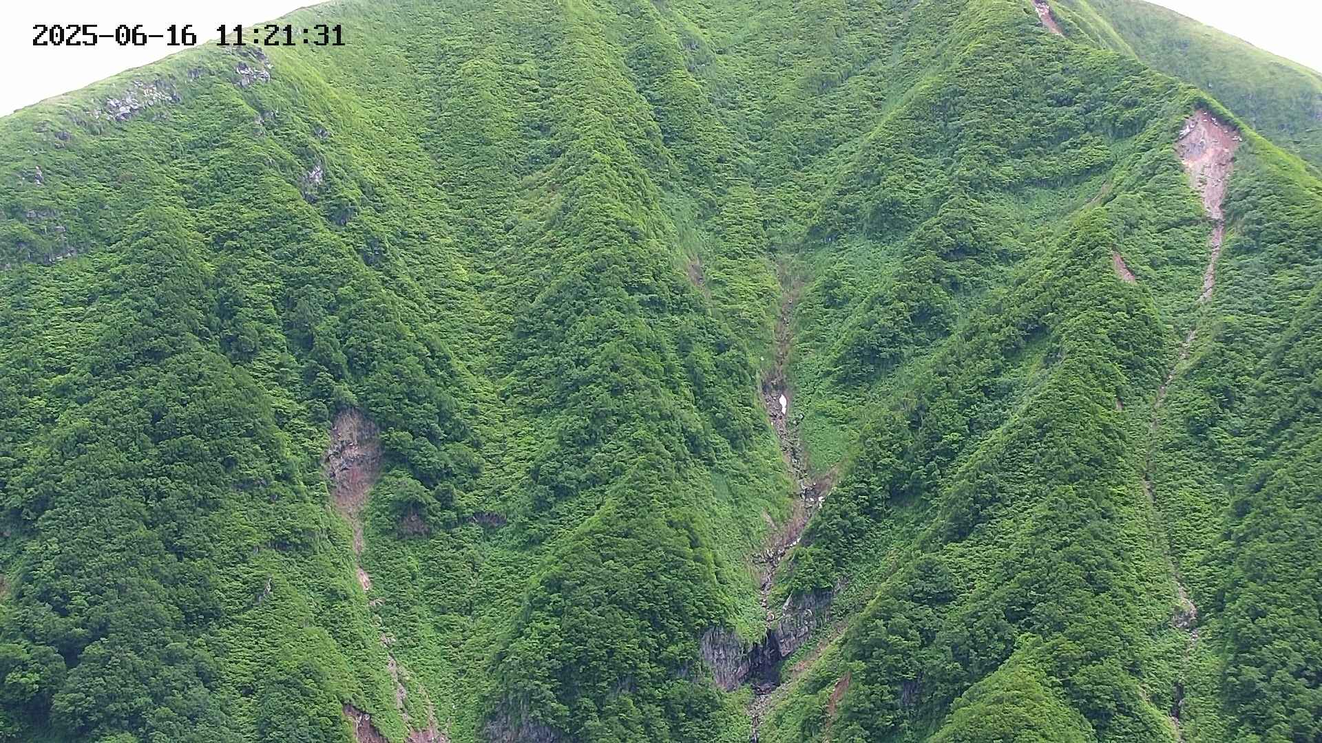 keikoku20250616112132.jpg