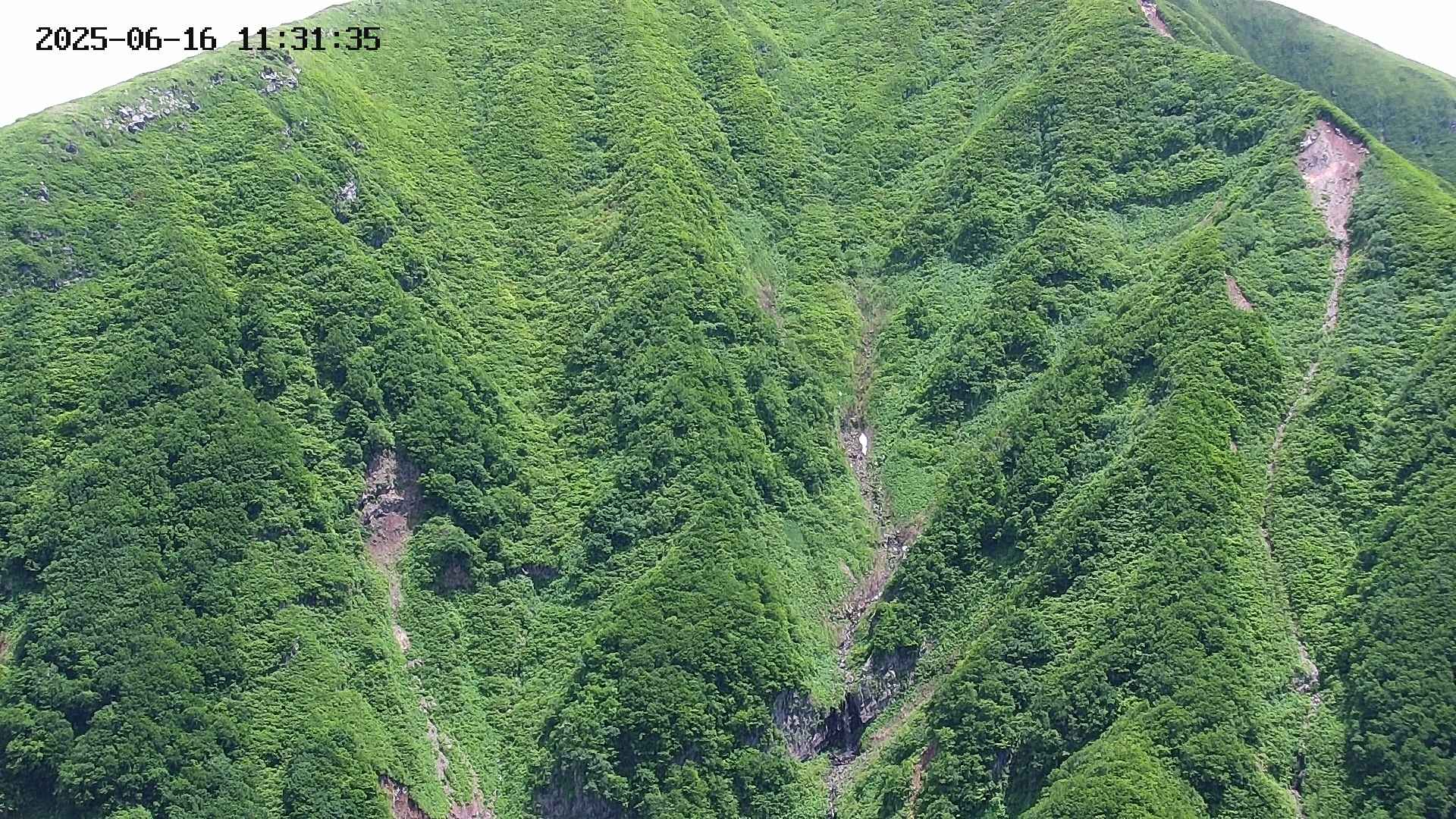 keikoku20250616113137.jpg