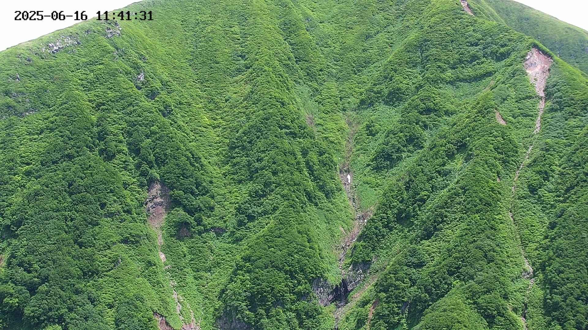 keikoku20250616114133.jpg