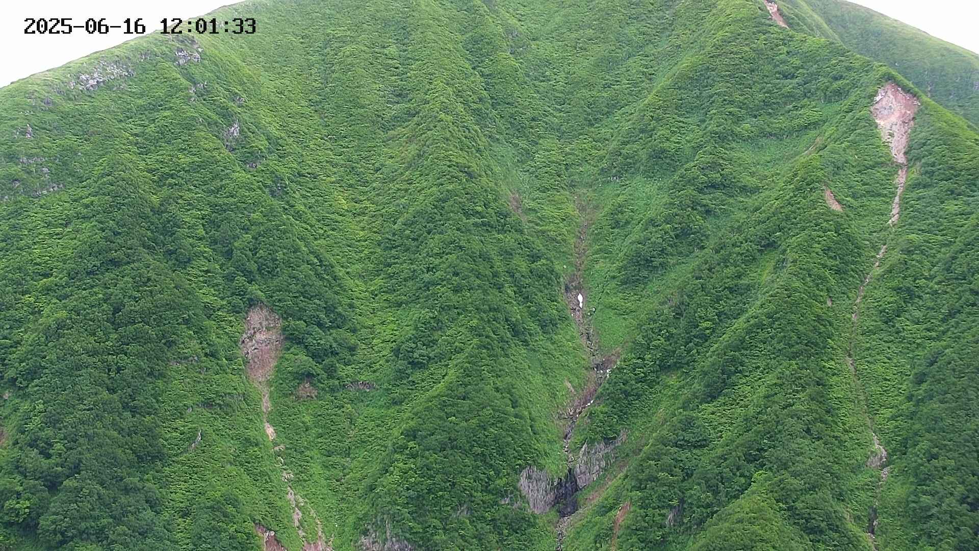 keikoku20250616120134.jpg