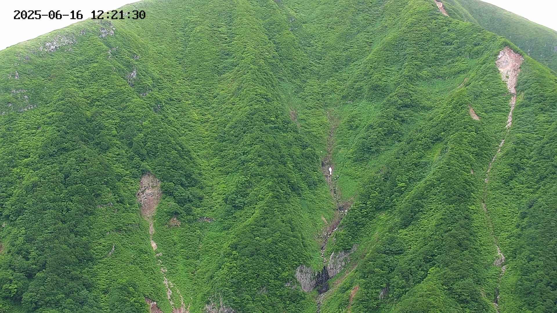 keikoku20250616122132.jpg