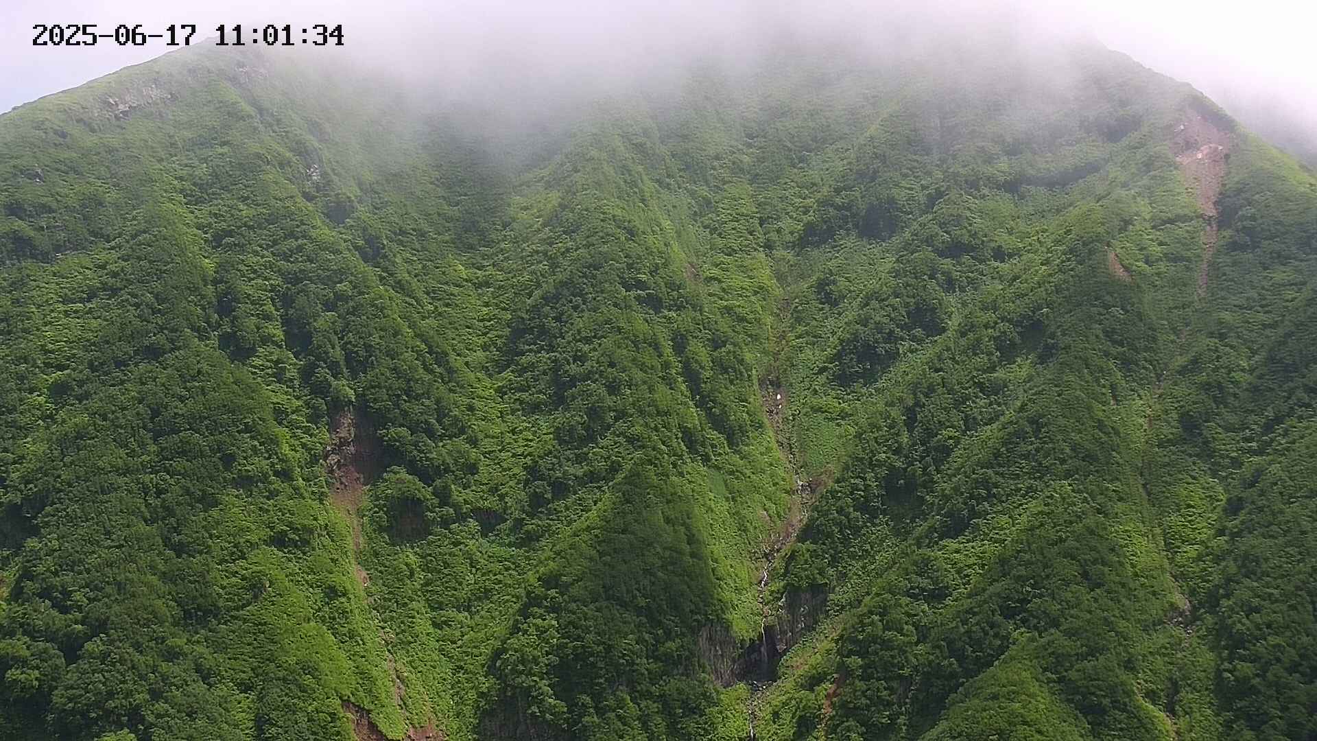 keikoku20250617110135.jpg