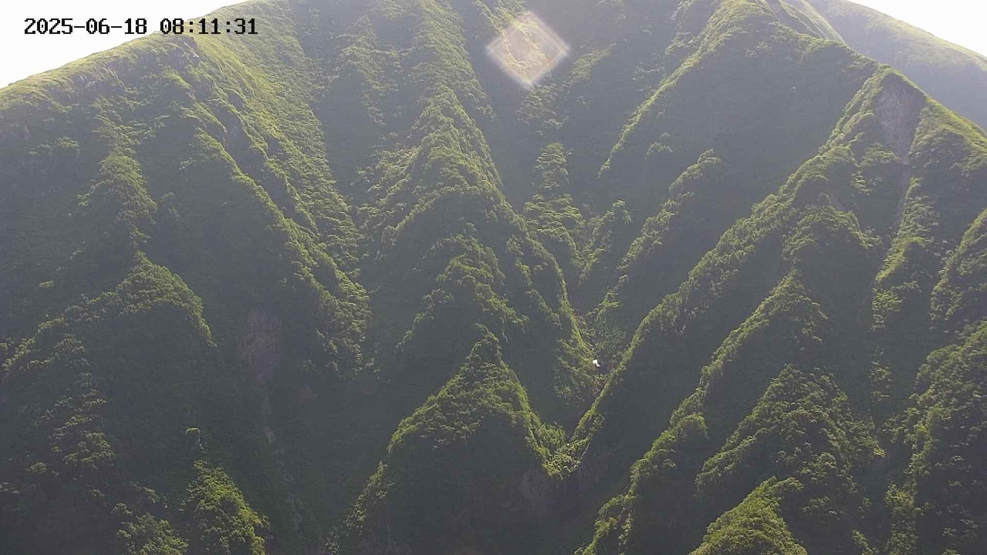 keikoku20250618081133.jpg