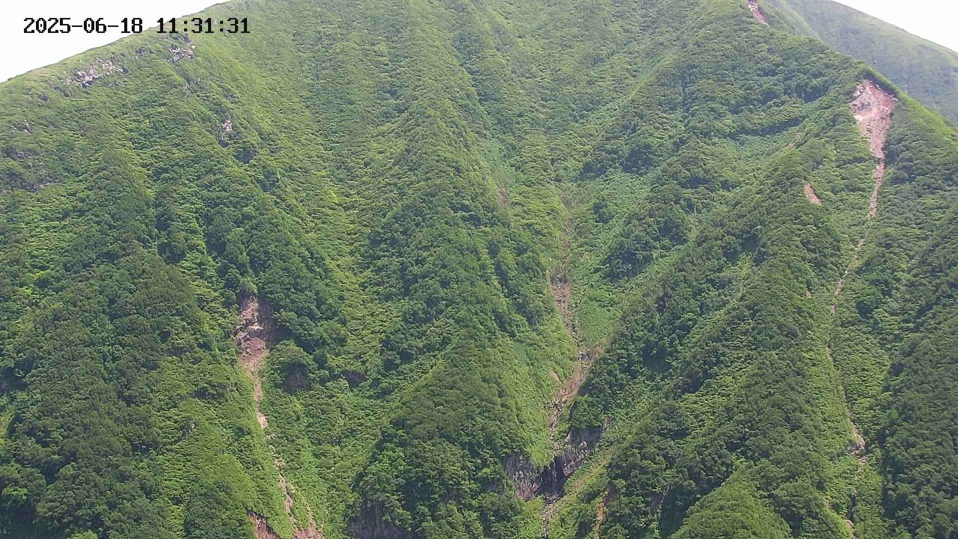 keikoku20250618113132.jpg