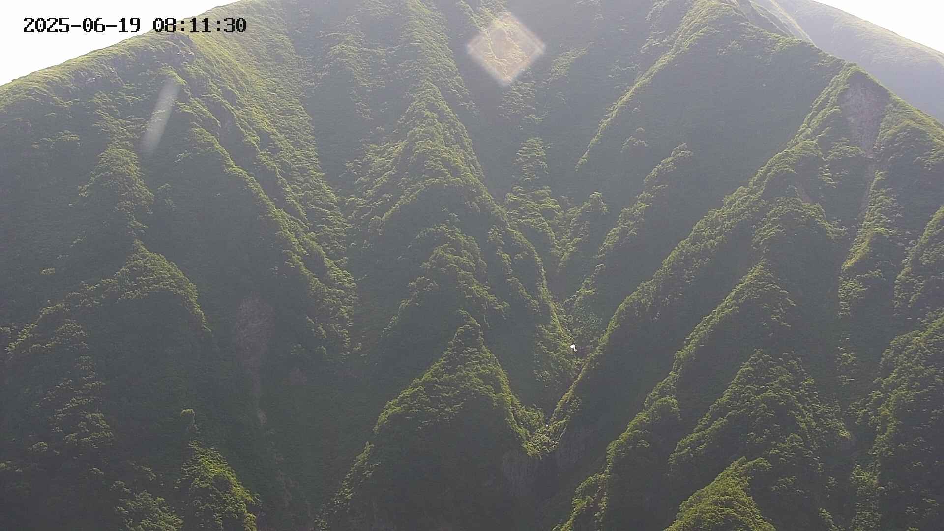 keikoku20250619081131.jpg
