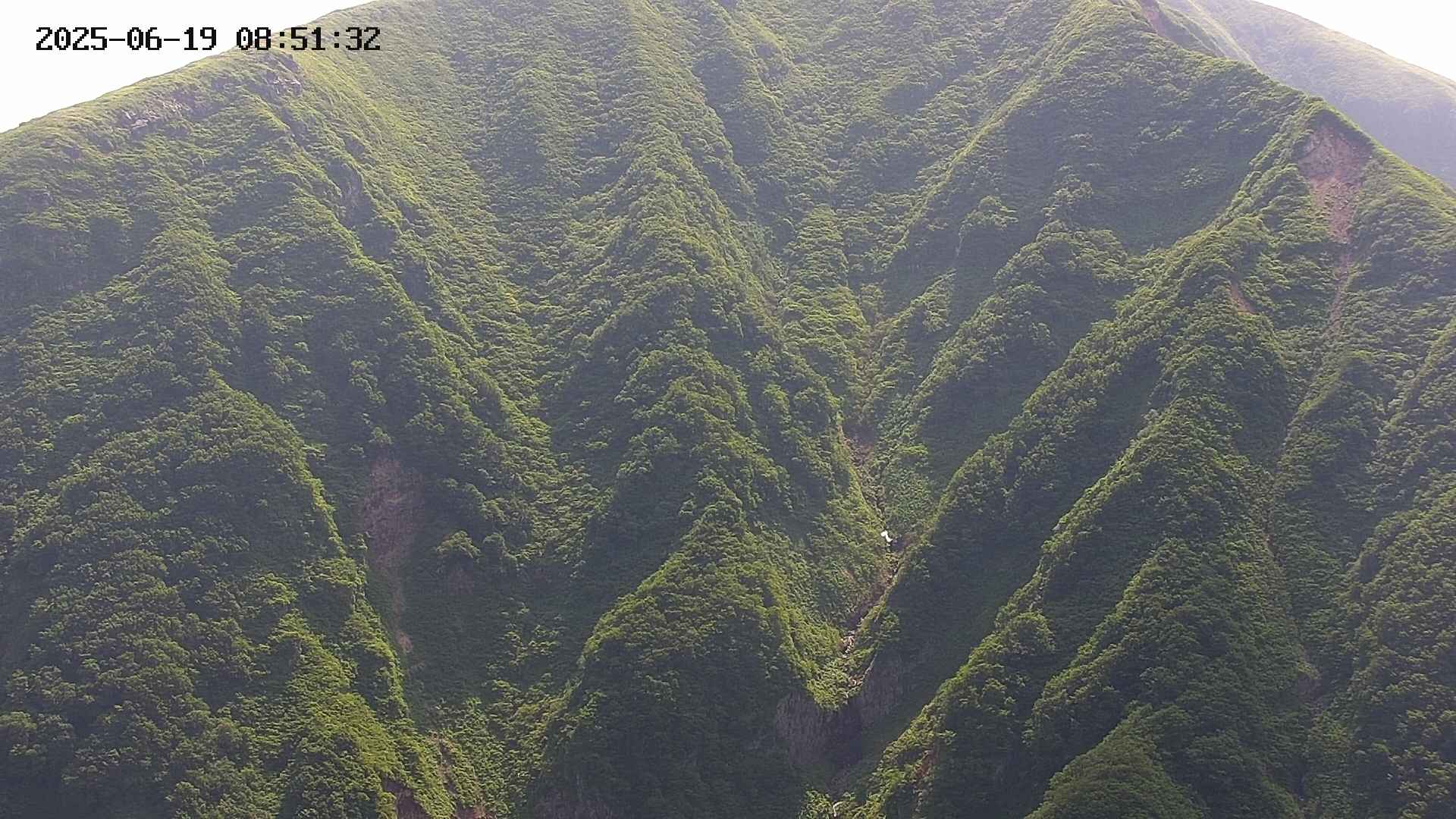 keikoku20250619085133.jpg