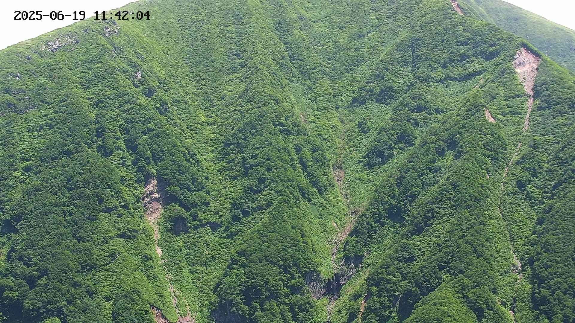 keikoku20250619114205.jpg