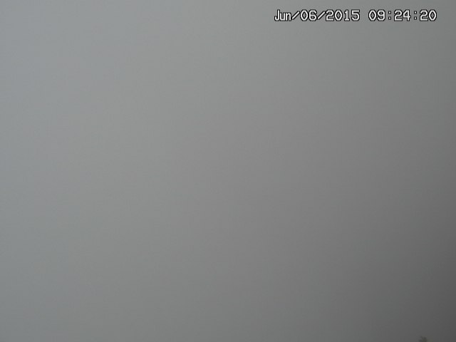 naso20150606092421.jpg