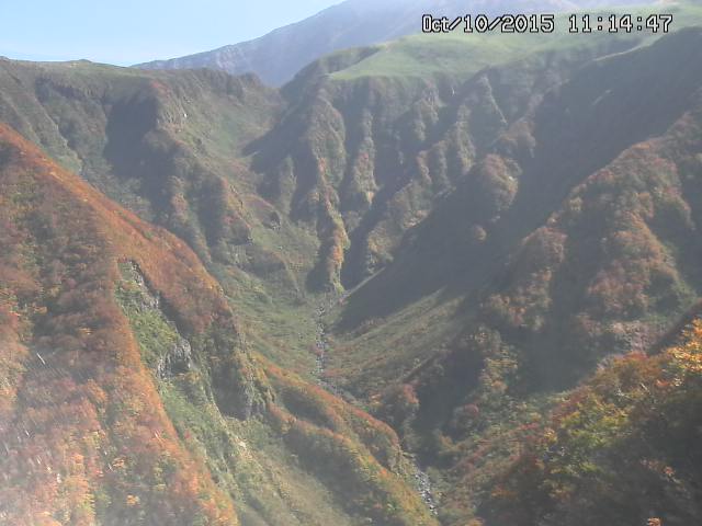 naso20151010111448.jpg