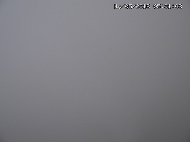 naso20160505050146.jpg