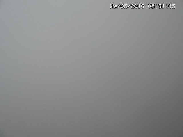 naso20160505053148.jpg