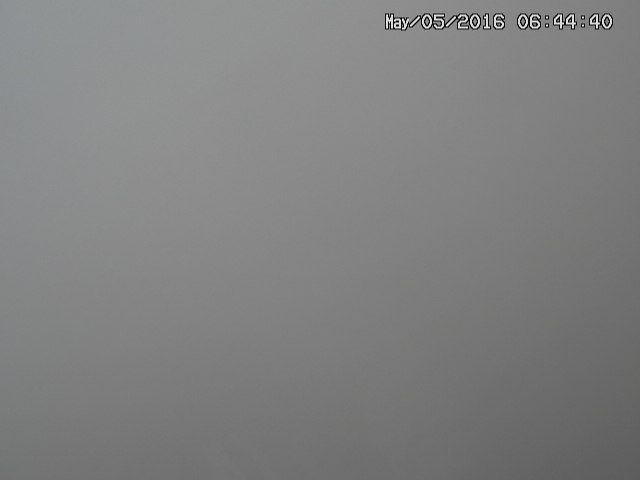 naso20160505064442.jpg