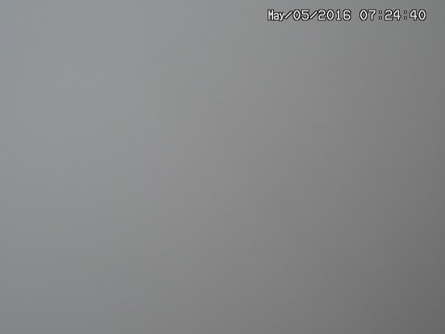 naso20160505072442.jpg