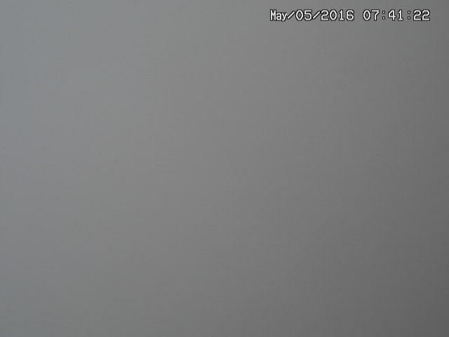 naso20160505074125.jpg