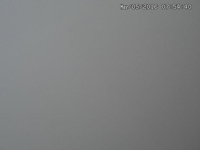 naso20160505075442.jpg