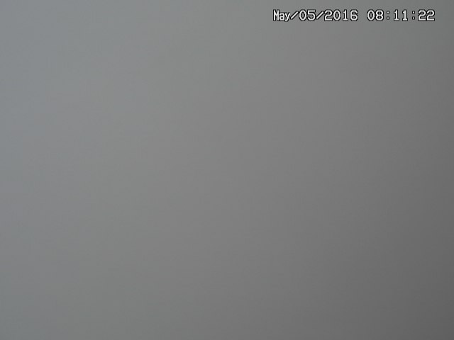 naso20160505081124.jpg