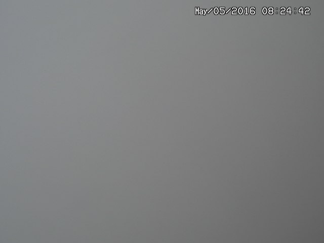 naso20160505082444.jpg