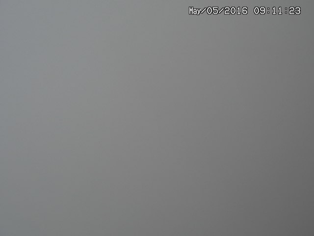 naso20160505091125.jpg