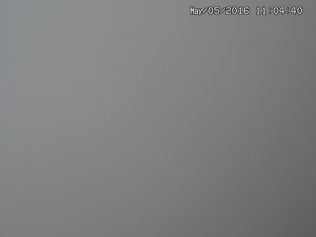 naso20160505110443.jpg