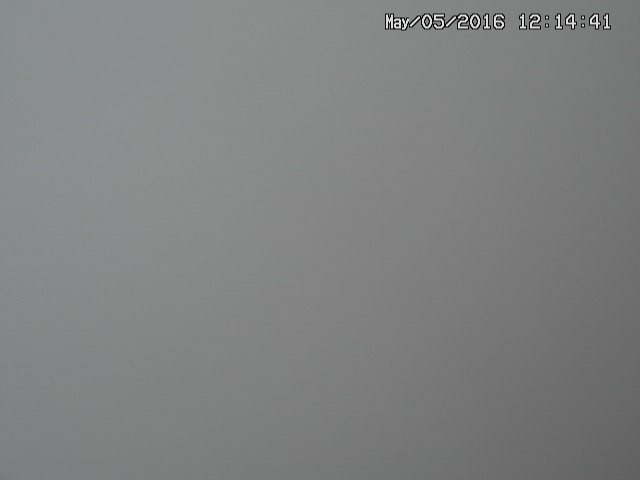 naso20160505121443.jpg