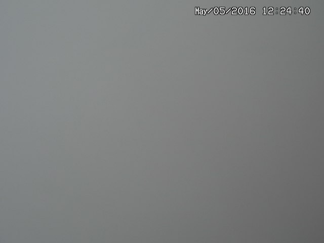 naso20160505122442.jpg