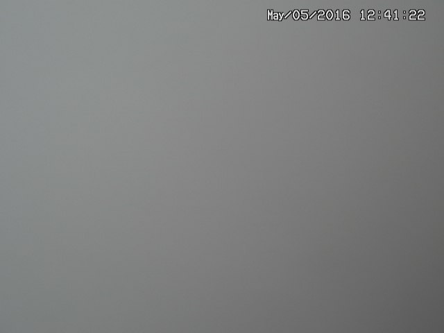naso20160505124124.jpg