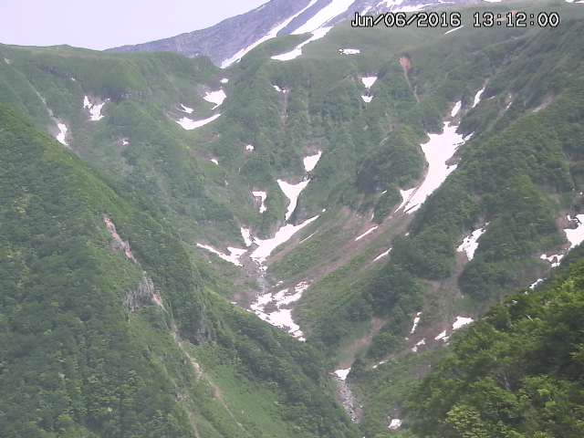 naso20160606131211.jpg