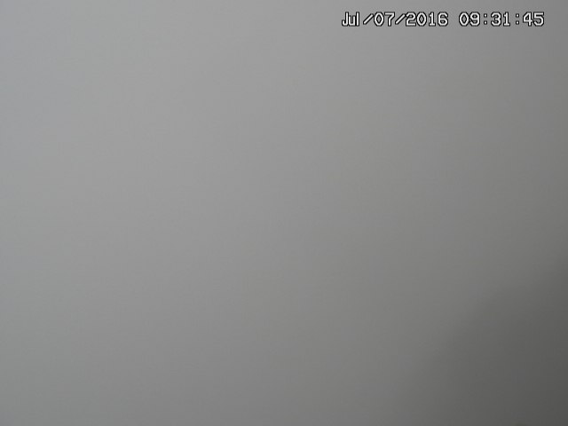 naso20160707093151.jpg