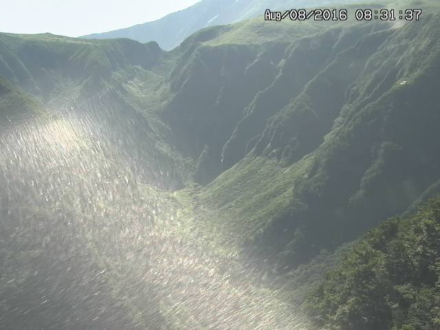 naso20160808083141.jpg