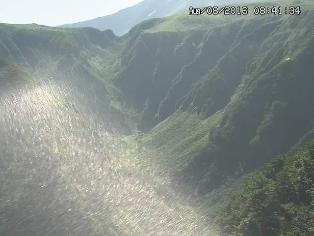 naso20160808084139.jpg