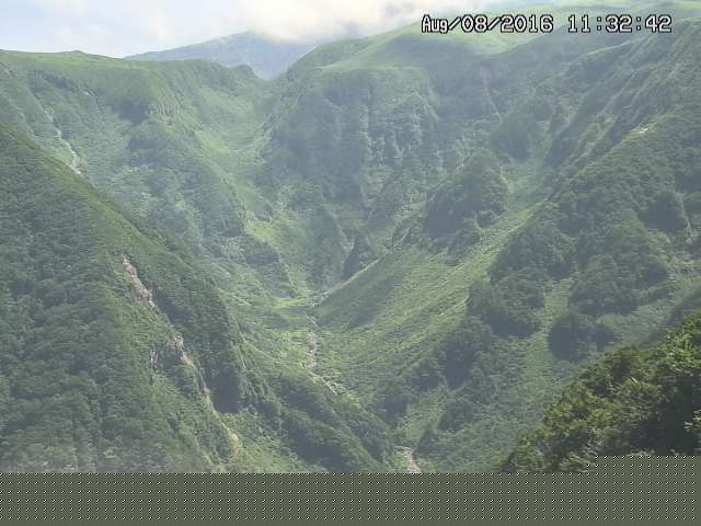 naso20160808113300.jpg