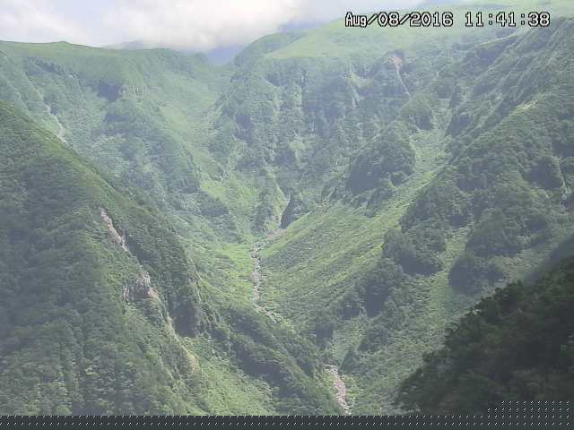 naso20160808114151.jpg
