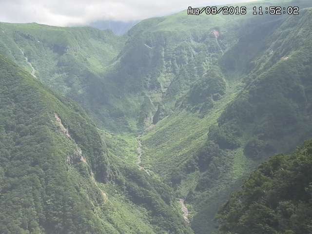 naso20160808115206.jpg
