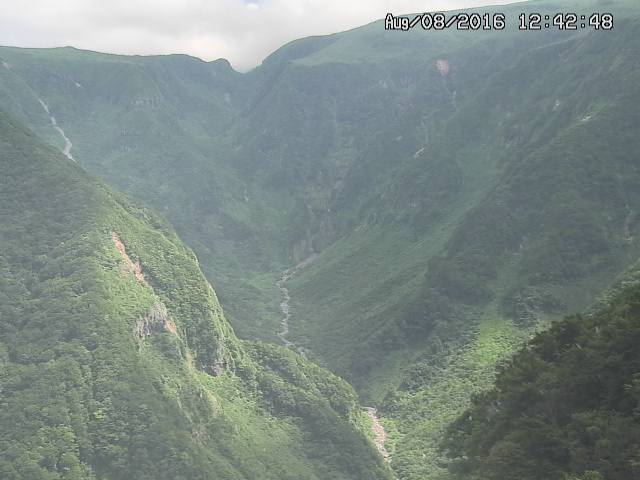 naso20160808124258.jpg