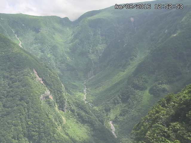 naso20160808125259.jpg