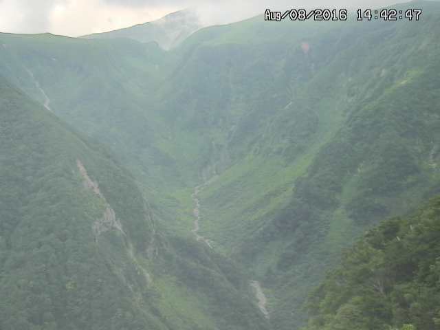 naso20160808144308.jpg